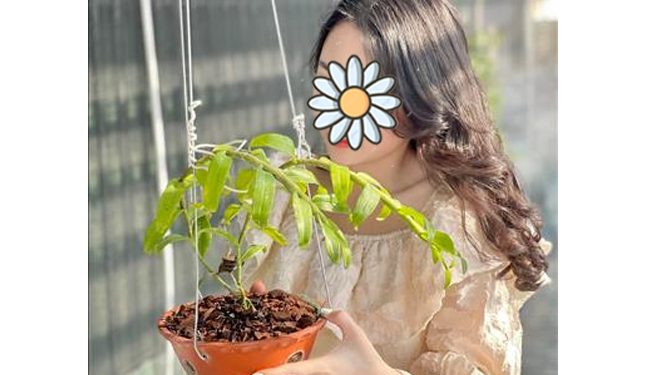 Vy Vy - Tìm bạn trai huyện Bắc Hà, Lào Cai