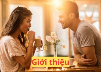 Giới thiệu chi tiết về Sodienthoaigai.com