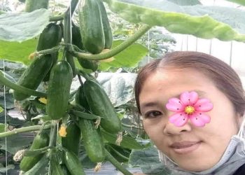 Xuân Mai - Máy bay bà già Phúc Thọ tìm bạn trai thật lòng