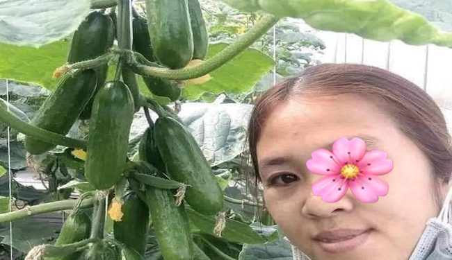 Xuân Mai - Máy bay bà già Phúc Thọ tìm bạn trai thật lòng