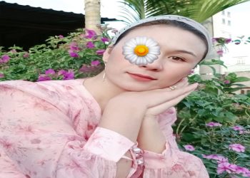 Hoài Ngọc - Máy bay bà già Phú Xuyên tìm phi công nghe lời