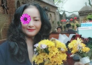 Phạm Cúc - Máy bay bà già Thuận Nam trầm tính