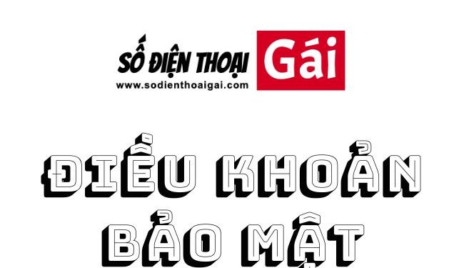Điều khoản bảo mật website Số Điện Thoại Gái